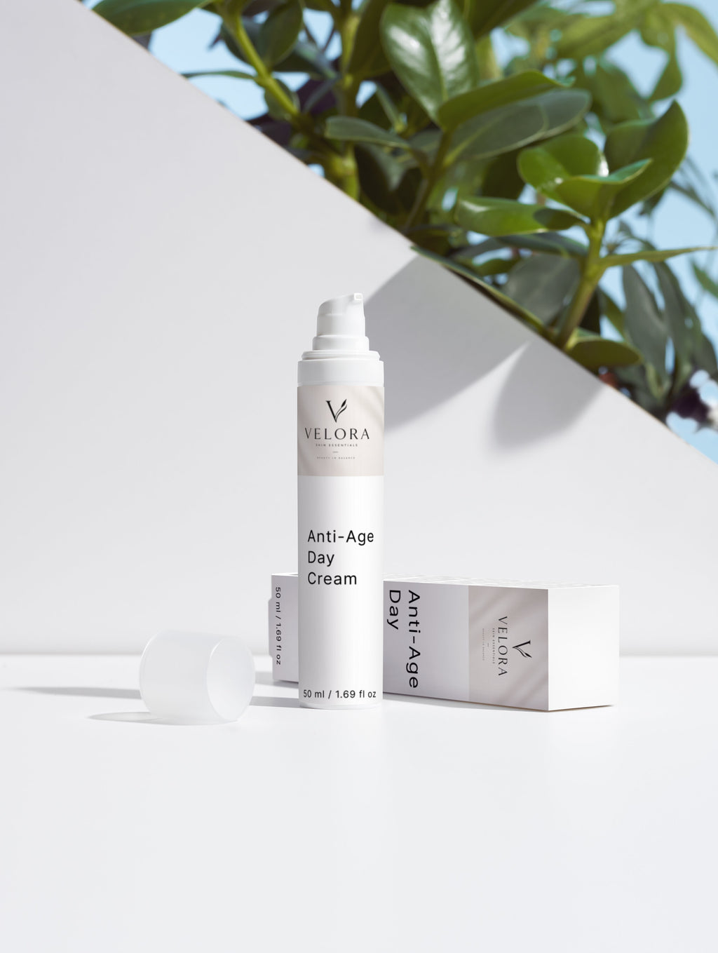 Anti-Aging Collection Box